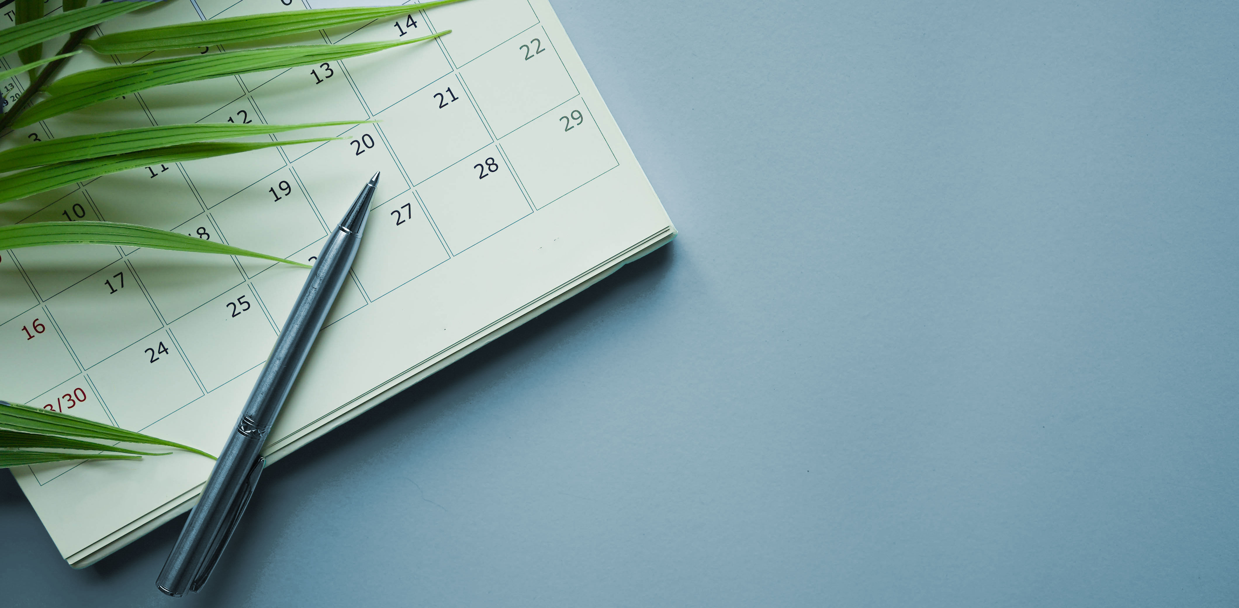 close up top view on white calendar with pen and tropical leaves on blue table background for planning work and life balance in holiday summer concept